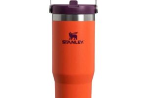 Bild von Stanley IceFlow 890ml Flip Straw Travel Tumbler – Tigerlily Plum